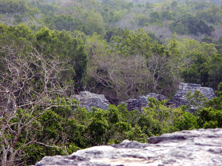 0704 calakmul 21.jpg